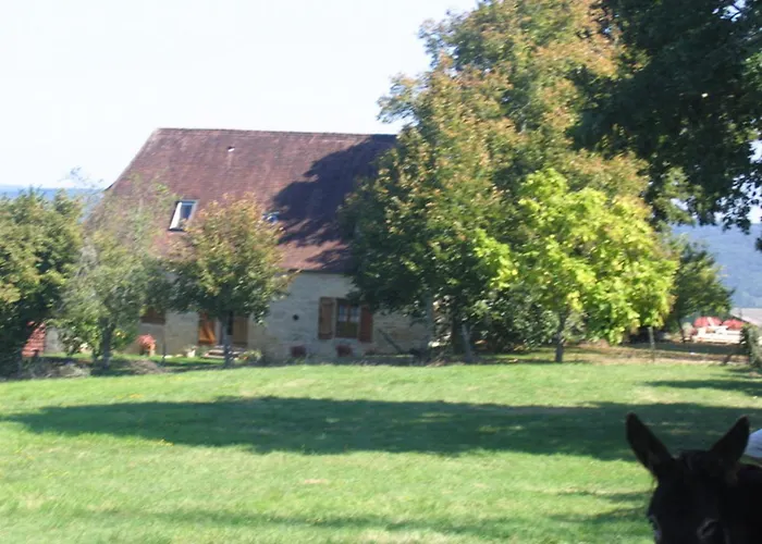 Maison Independante Avec Piscine Chauffee Pres De Montignac, Animaux Acceptes - Fr-1-616-123 Tatil Evi